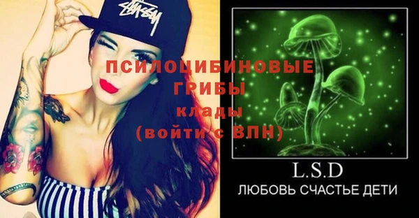 стафф Россошь